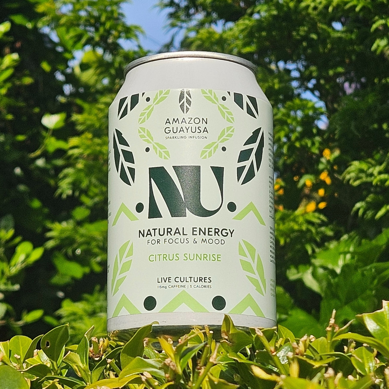 CITRUS SUNRISE: SPARKLING INFUSION WITH LIVE CULTURES