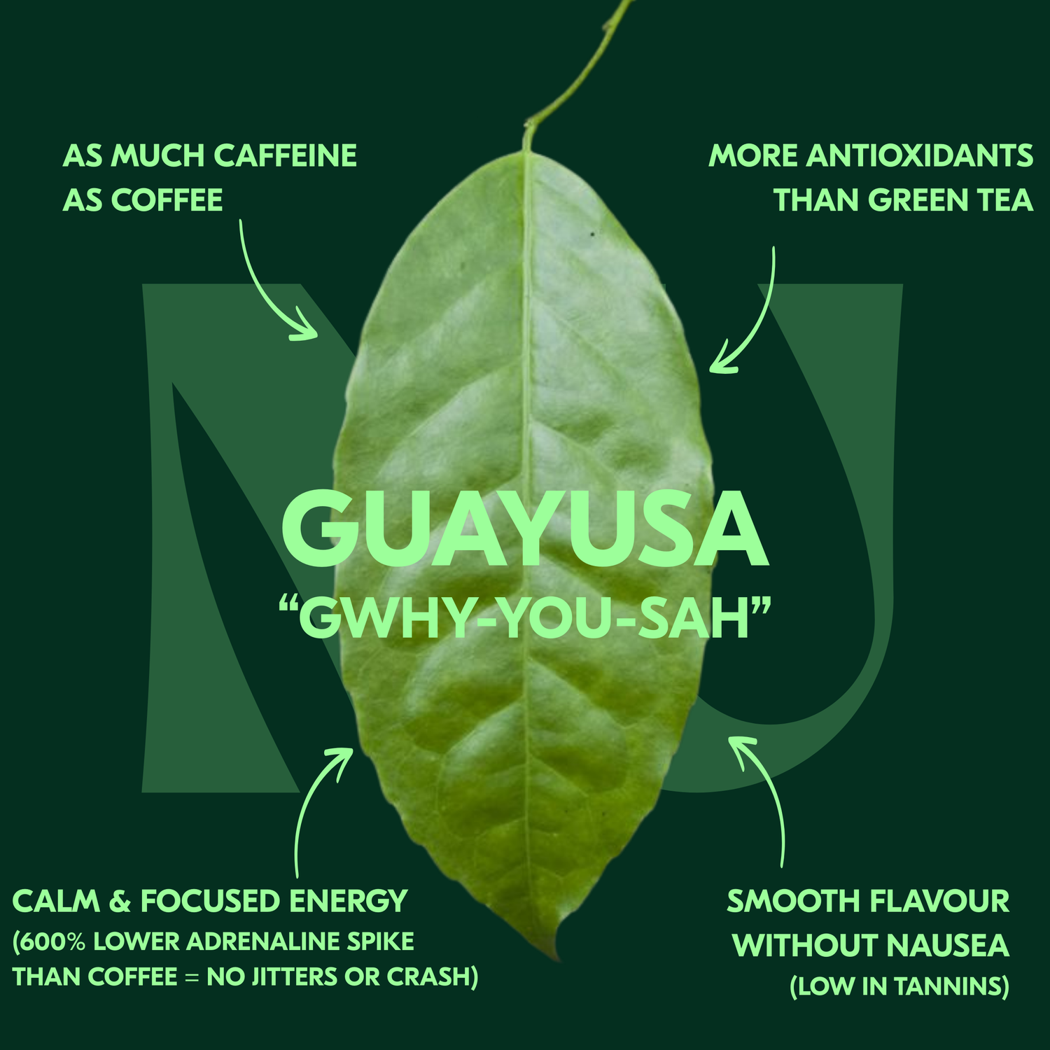Guayusa Loose Leaf (100g)