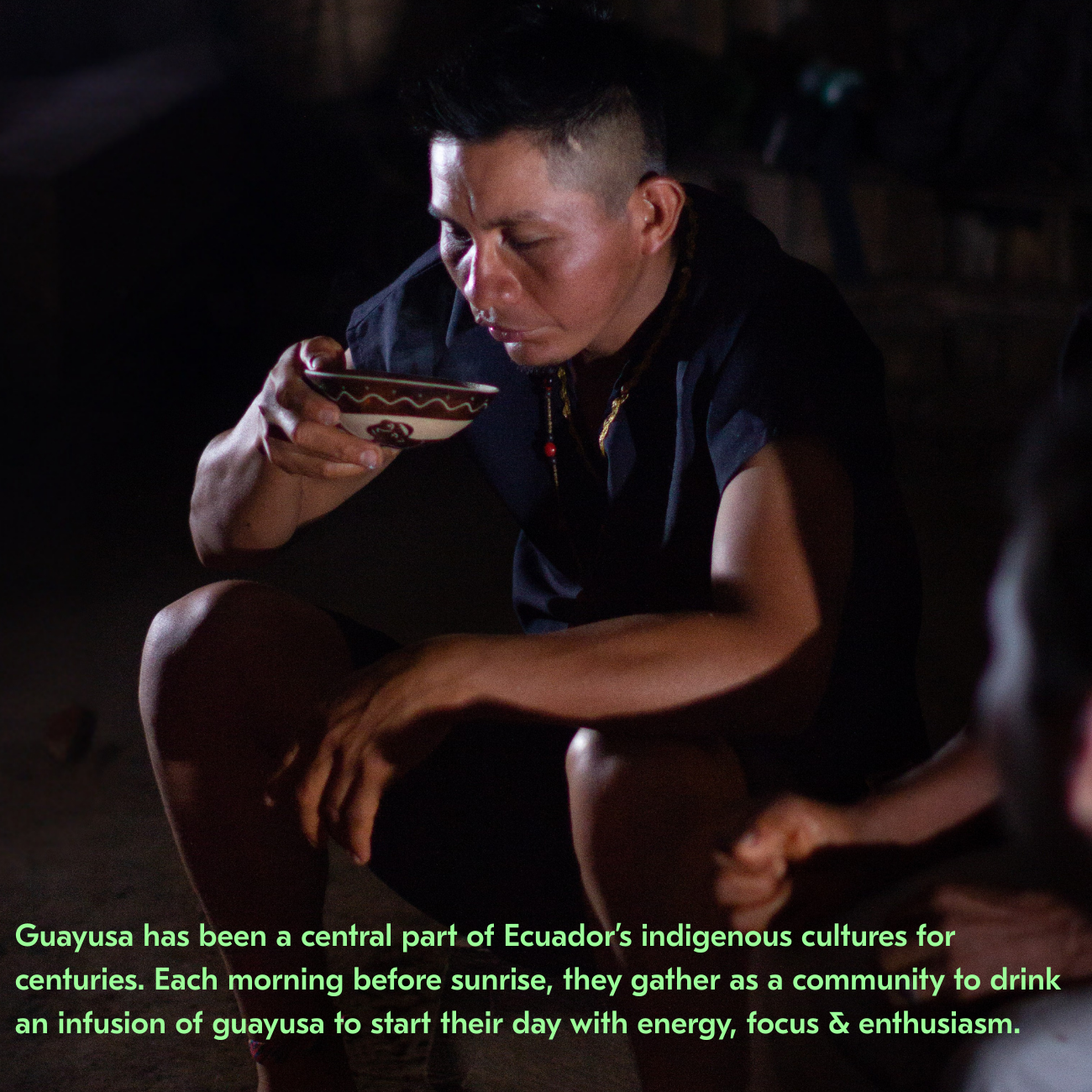 Guayusa Loose Leaf (100g)