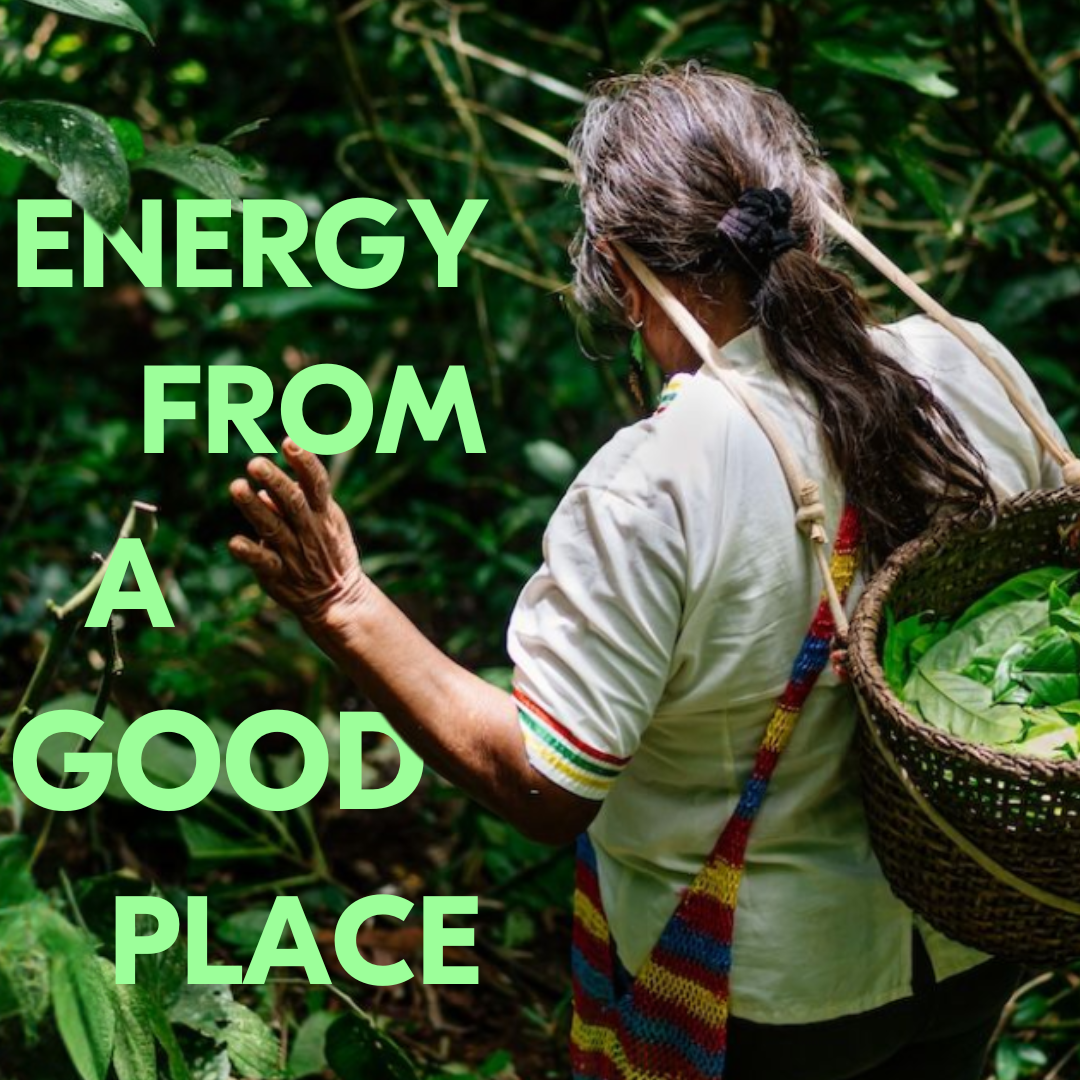 Guayusa Energy Drink with Live Cultures (Citrus Sunrise Flavour)